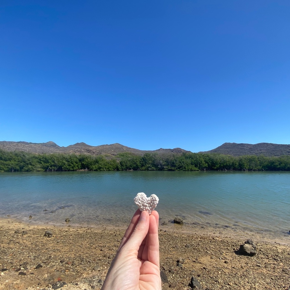 Meet your Posher, Rebecca